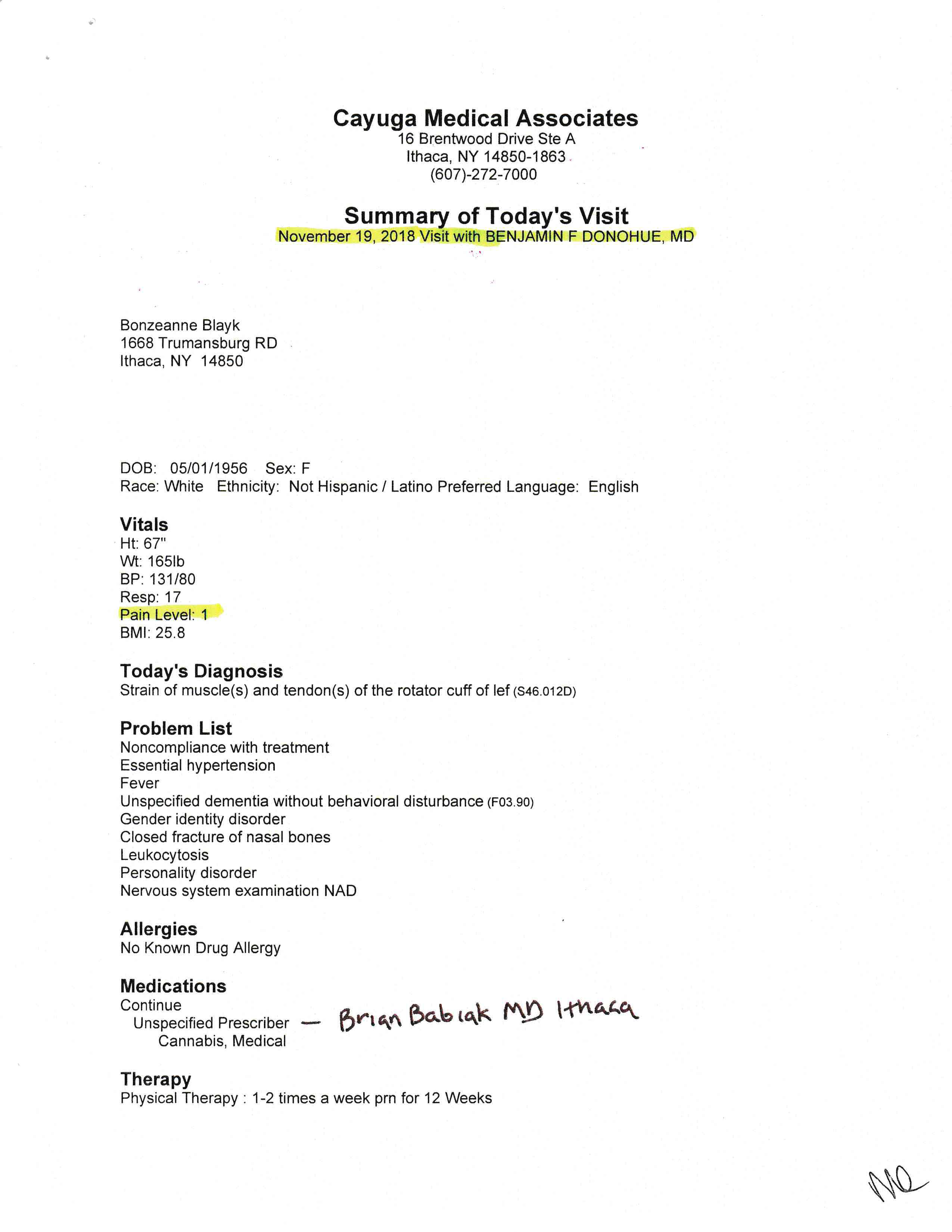 ./2018-11-29 - Bonze Blayk RAILROAD Tompkins CR-018365-18 - POLICE BRUTALITY, PSYCHIATRIC COVERUP, MEDICAID FRAUD IPD G.I. Herz John Joly CMC LTC Clifford Ehmke MD Molina Healthcare - p 13.png